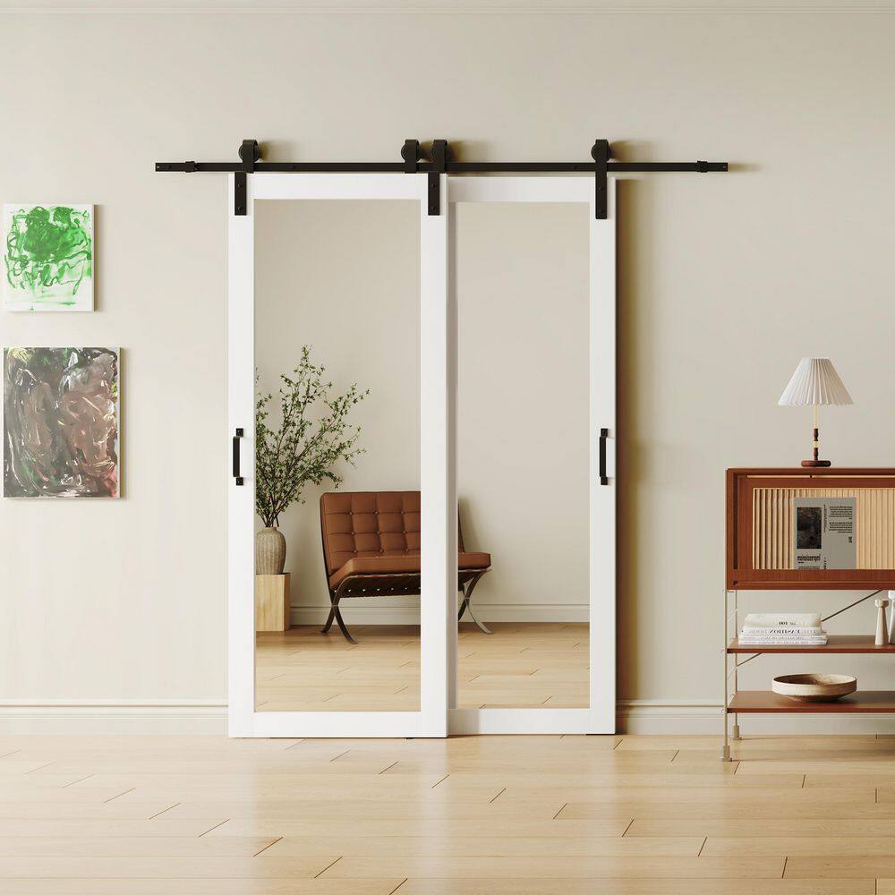 Tenoner White MDF 1-Lite Mirrored Bypass Barn Door for Living Rooms, Bedrooms, Kitchen - Easy Installation