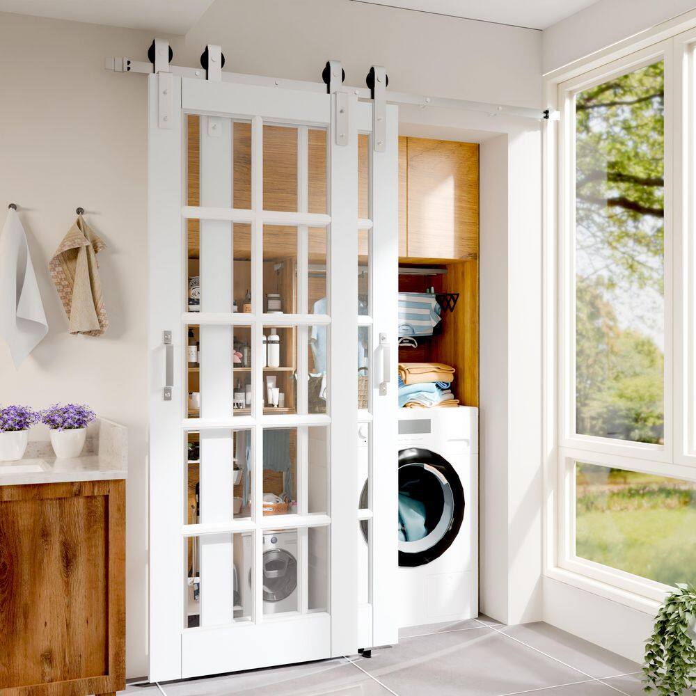 TENONER White 10-Lite Clear Glass Bypass Barn Door for Bedroom, Living Room,Laundry
