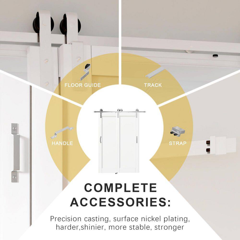 TENONER White 10-Lite Clear Glass Bypass Barn Door for Bedroom, Living Room,Laundry