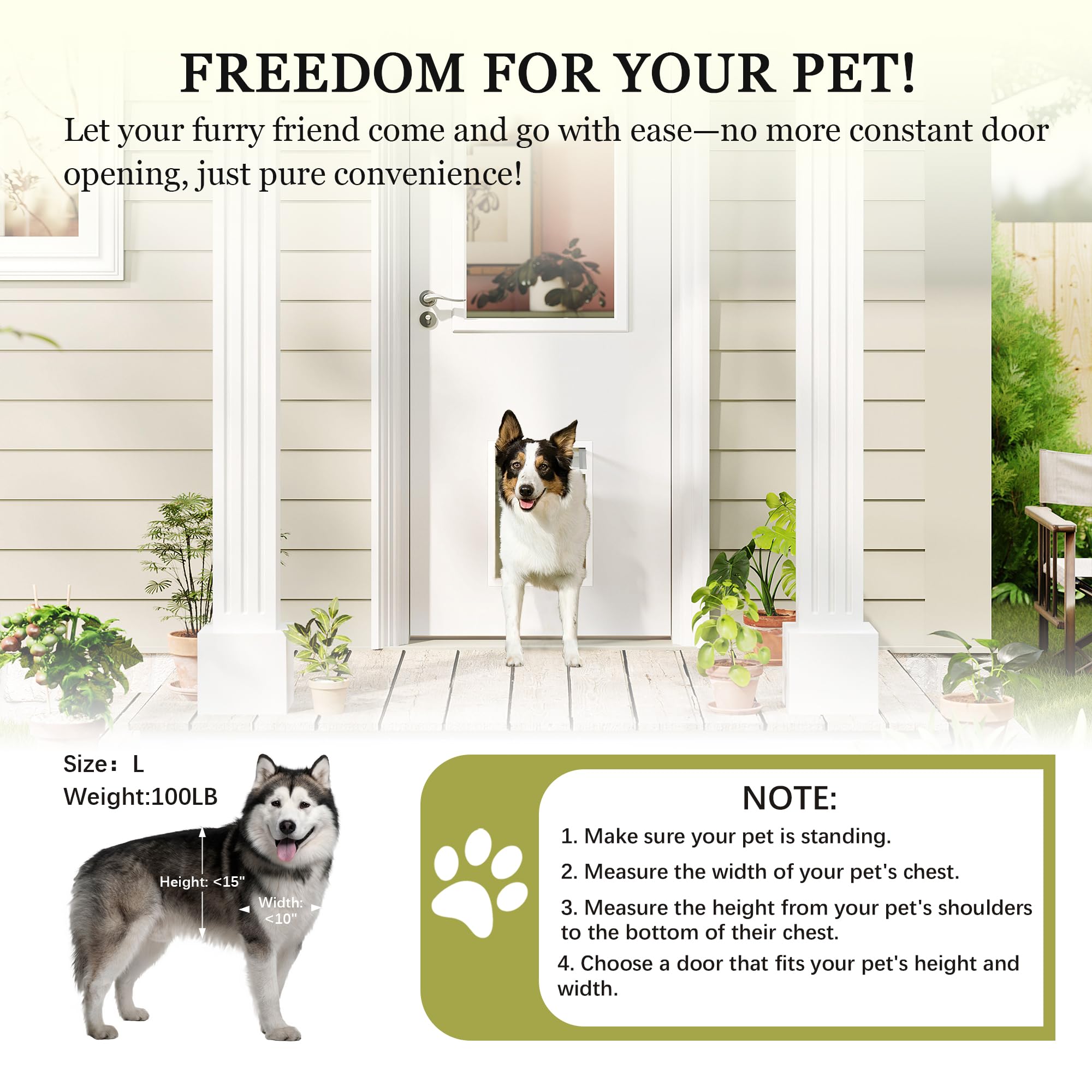 TENONER White Primed 1-Lite Clear Glass Exterior Dog Doors, No Hinges or Handles Included