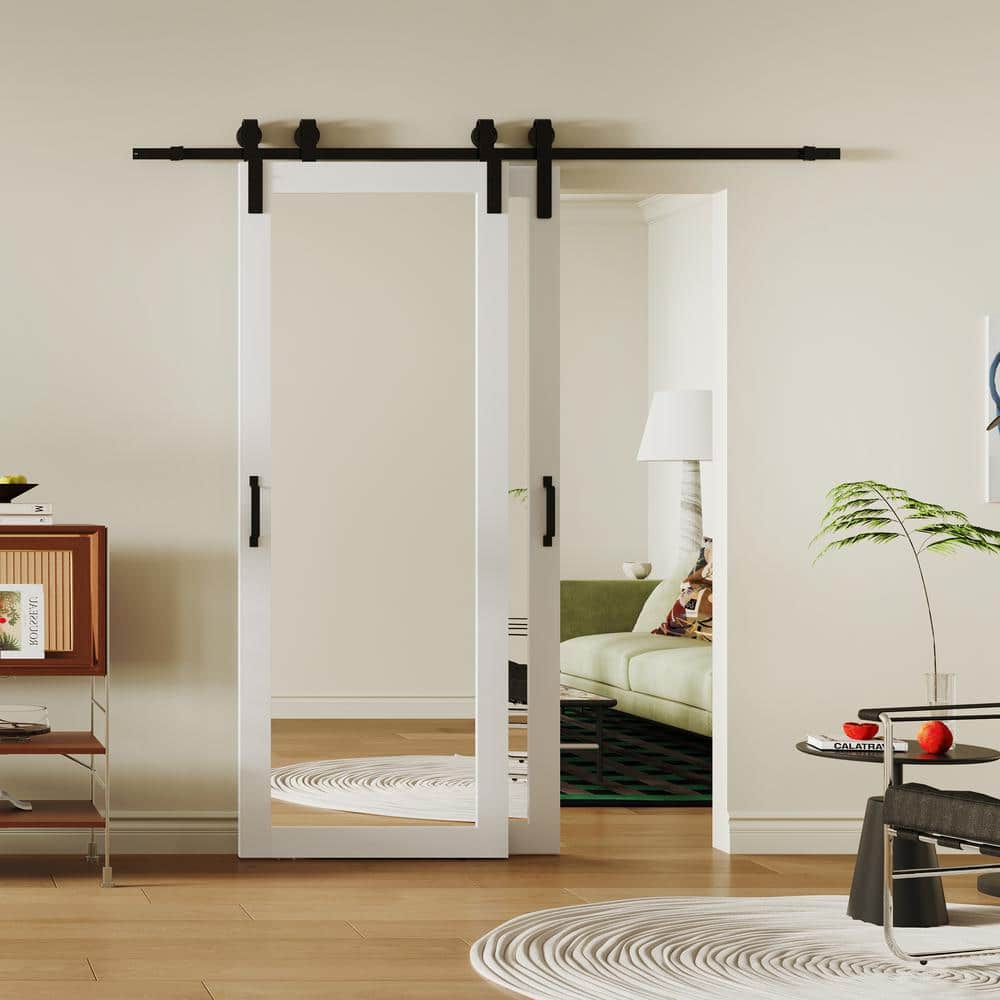 Tenoner White MDF 1-Lite Mirrored Bypass Barn Door for Living Rooms, Bedrooms, Kitchen - Easy Installation